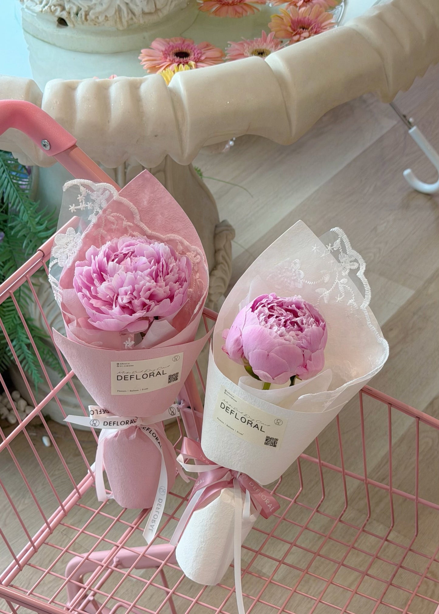 Peony Solo